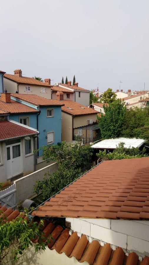 Zp44 * Pula